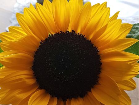 MEHR Lobpreis am Abend