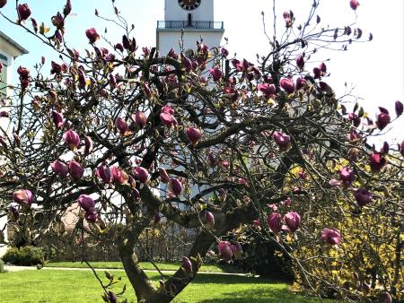 Das Leben mit dem Coronavirus