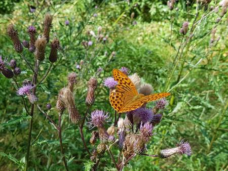 GeDANKen einer Mutter