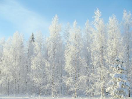 Feiern an Heilig Abend