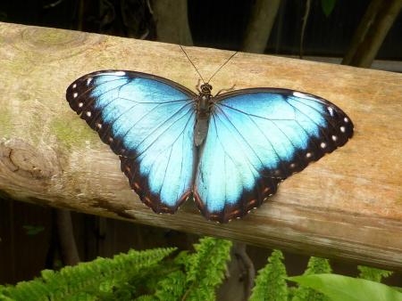 Ökologie des Herzens