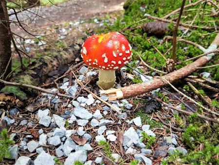 Ein Gebet für einen Funken Hoffnung