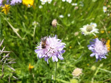 Wir sind Kinder in Gottes Garten