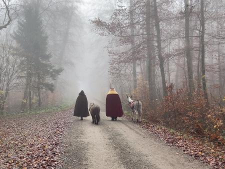 Auf Wiedersehen Samichlaus, Schmutzli und Esel