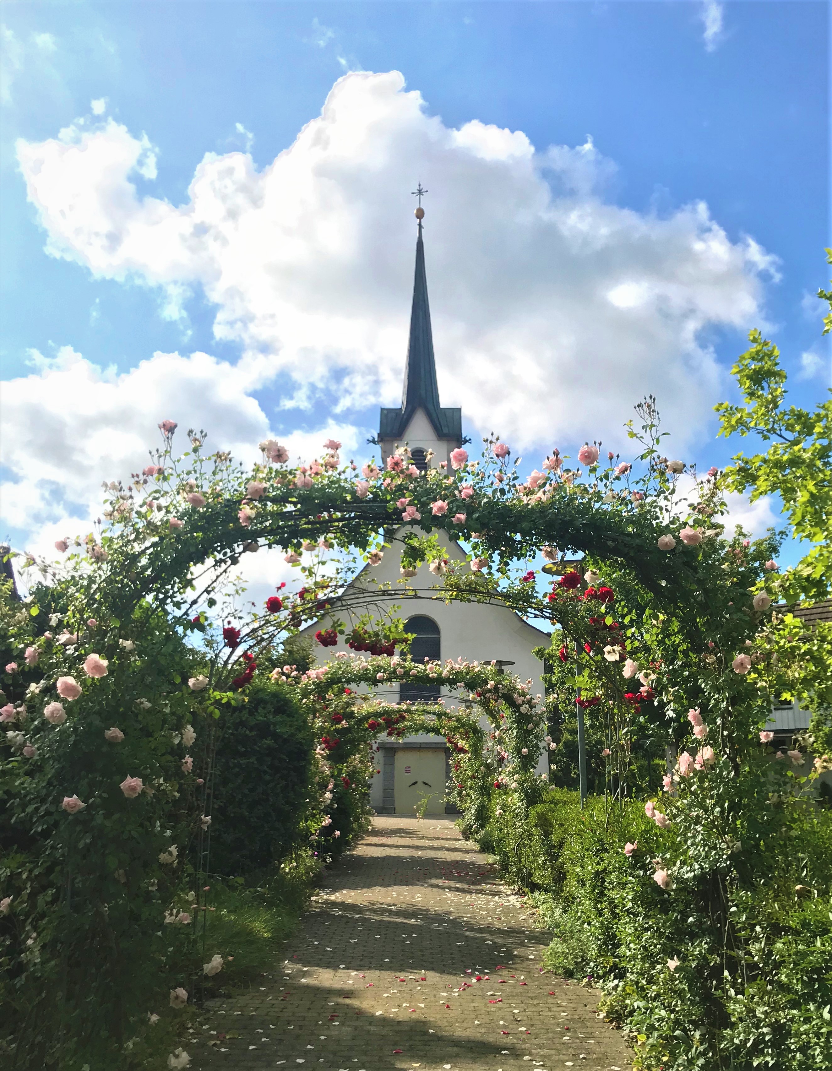 Rosenallee Altnau Juni 2020